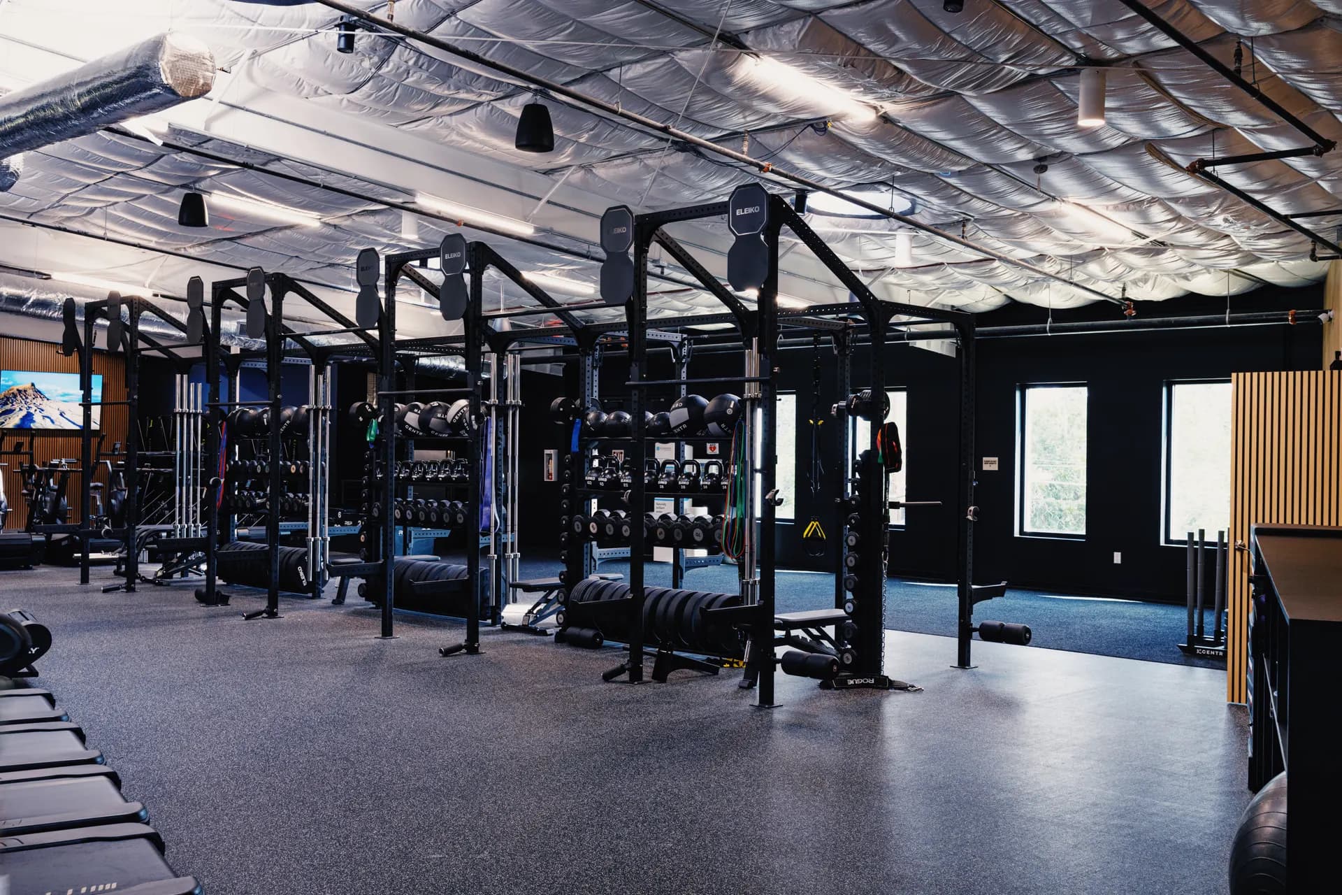 Eleiko squat racks and rig on the main floor